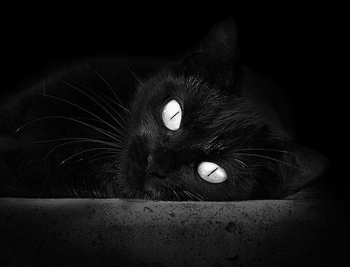 “2025世界运动会:电动冲浪赛场新体验,马鞍山火爆开赛”