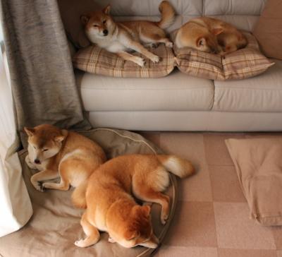 “新都兴城垒球赛:冠军争夺战正式打响!”