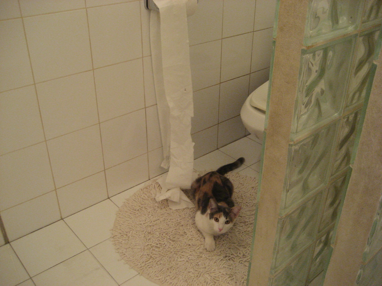 leyu乐鱼官网登录入口-中超球队发布新赛季球衣设计引发球迷热议，2022中超球衣