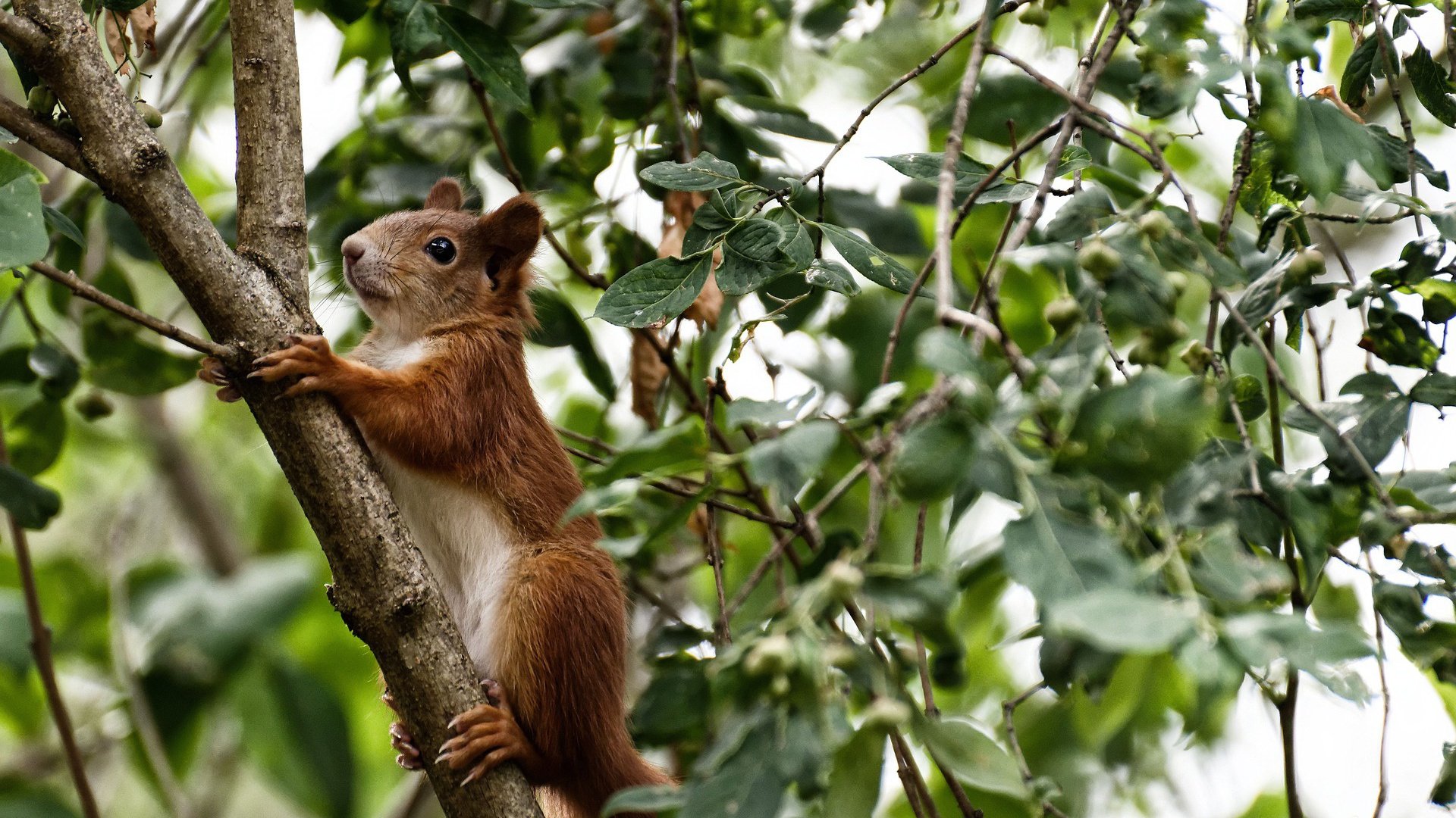 全国高校体育解说大赛挖掘新生代人才,体育赛事解说员有哪几位