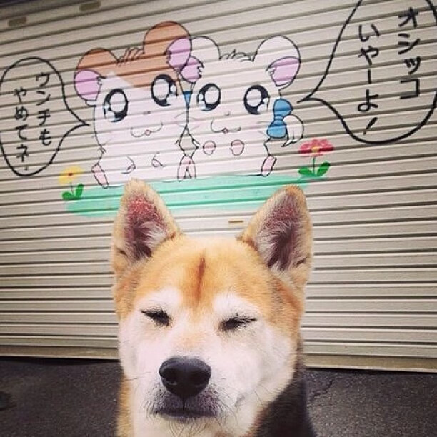 乐鱼app-冬季铁人三项国家集训队进入冲刺阶段，冬季铁人三项是哪三个项目