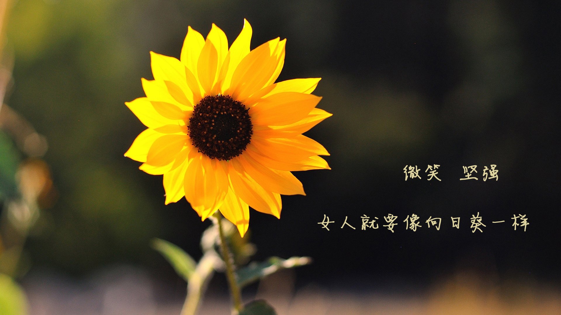 LEYU乐鱼体育官方网站-印度乒乓赛制深度解析：如何激发本土选手潜力，印度世乒赛