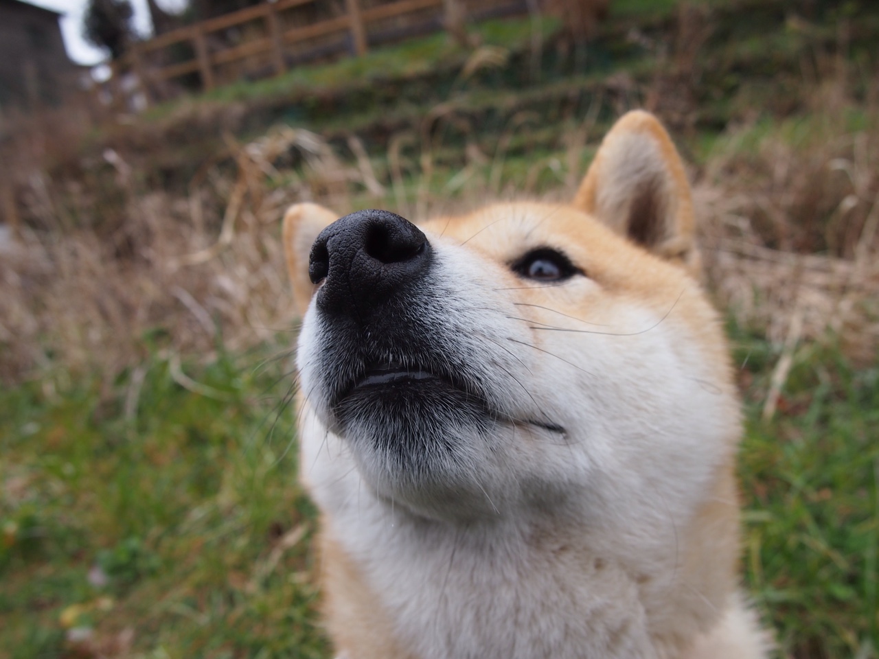 配速策略对比赛成绩的影响,配速策略对比赛成绩的影响大吗