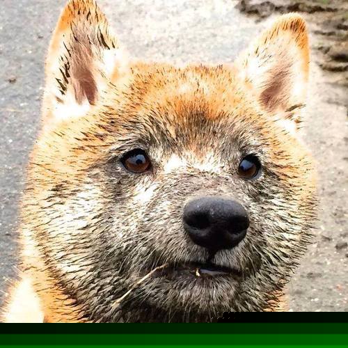 马拉松赛事路线优化保障安全,马拉松比赛线路图