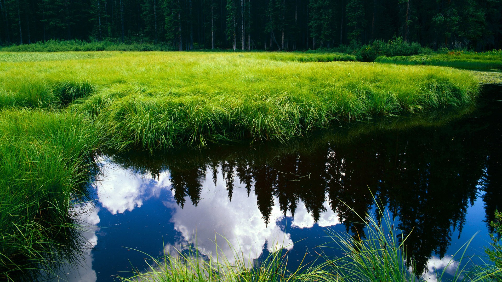 中国足球国家队深化多区域战术适应性训练,国足战术风格