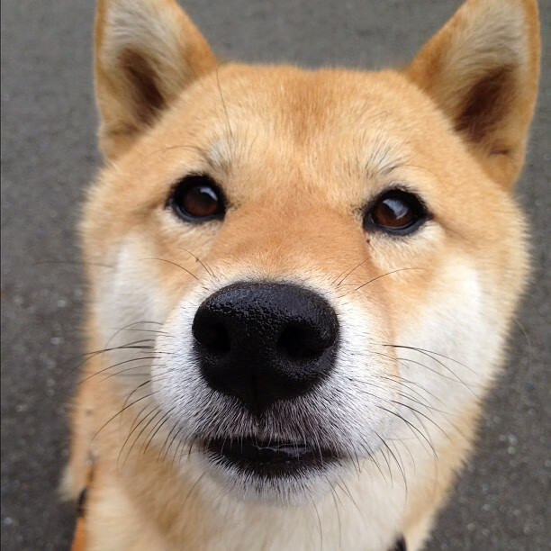 中国足球青训体系人才选拔机制科学化,中国足球青训补偿及培训费