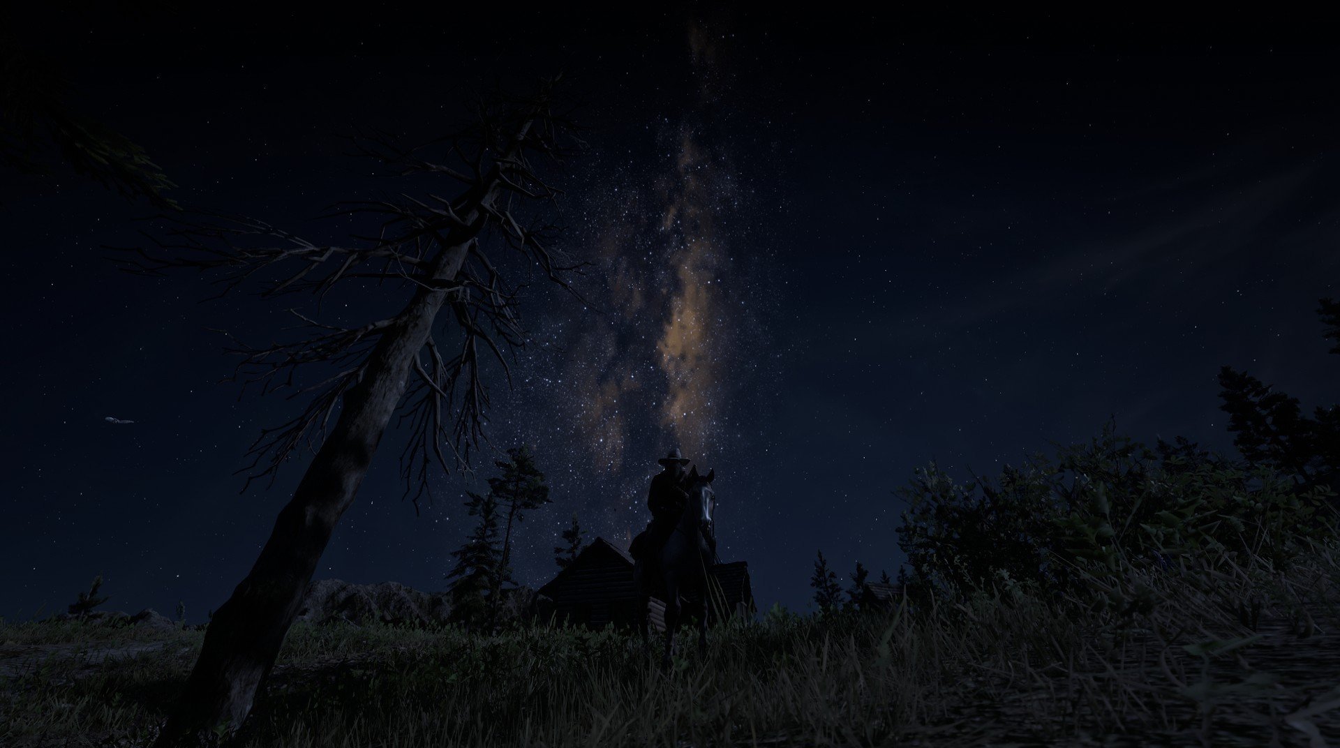 伊丽莎白·德克斯蝶泳技术引发媒体热议