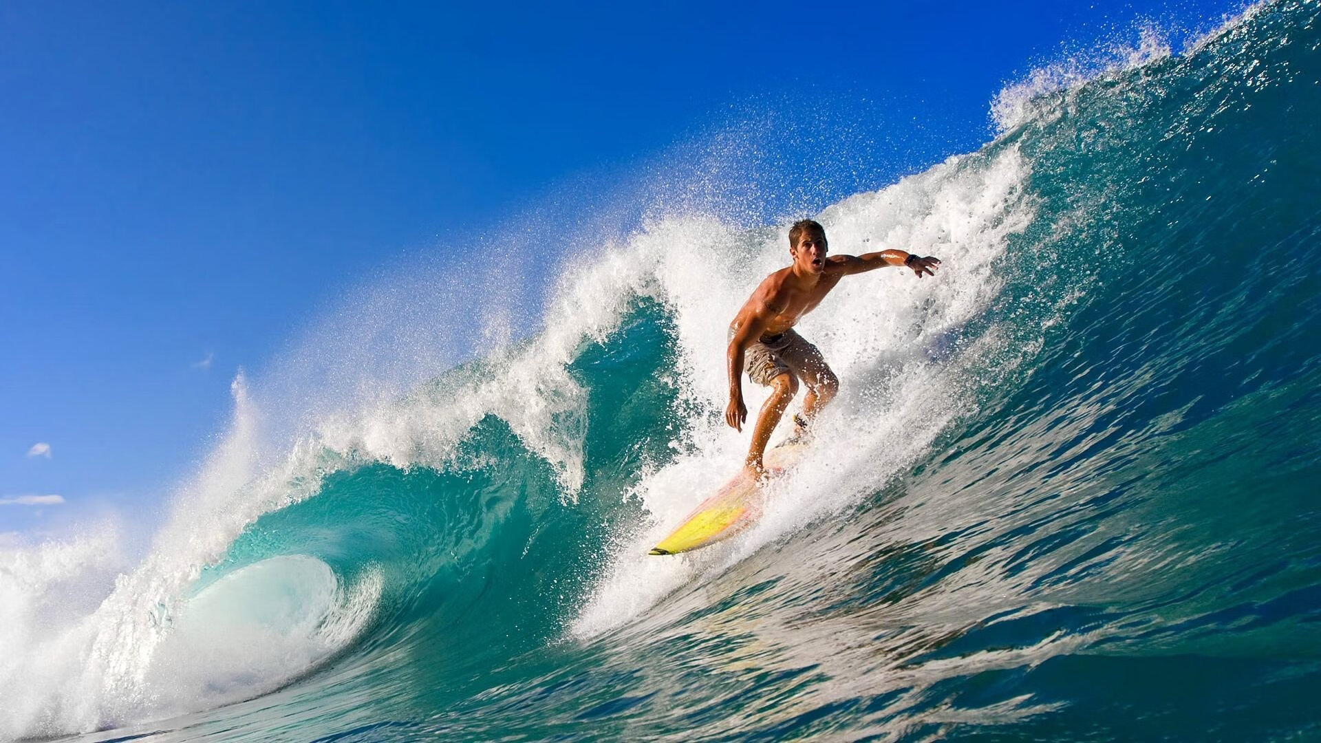 乐鱼电竞在线平台-体育新闻中心裁判视角透析，体育新闻赛事