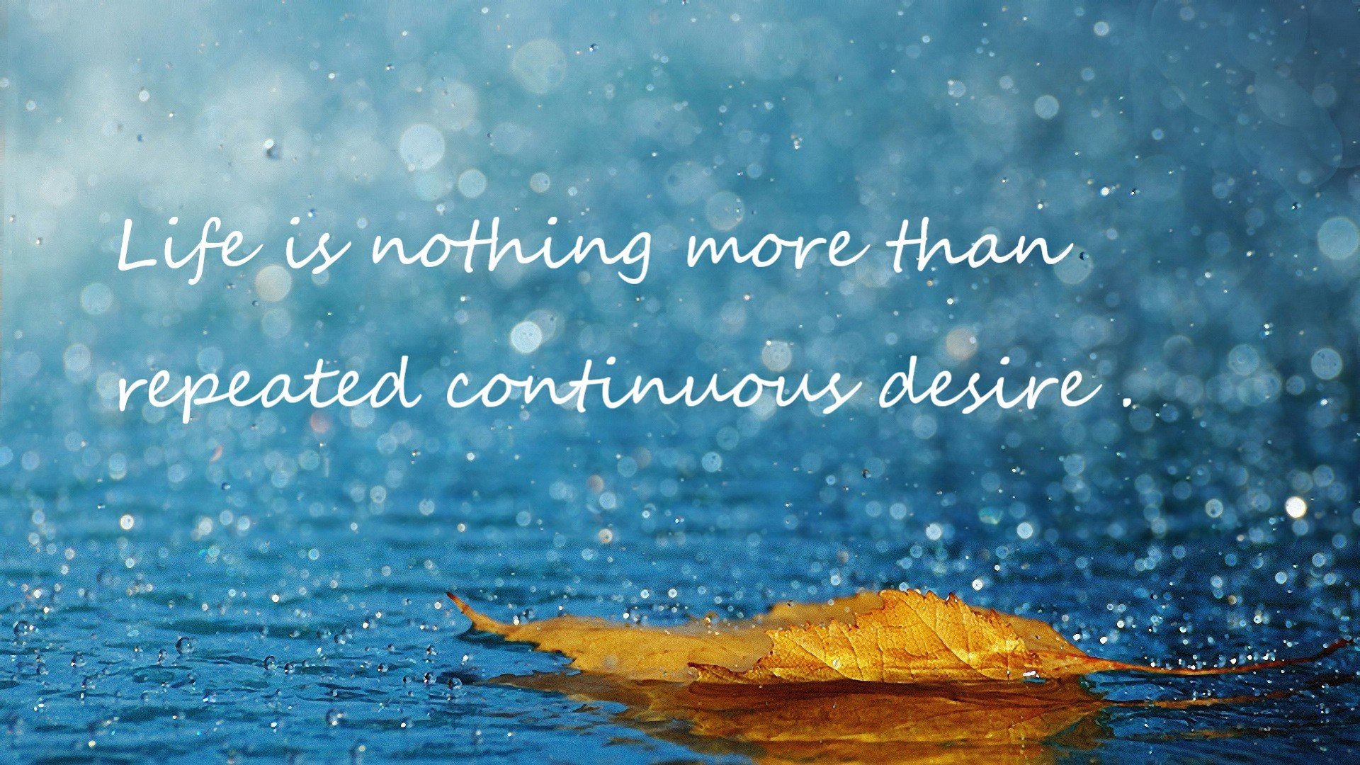 后防线失误率下降源自训练中对盯人战术的强化与复盘总结,后防线最强的球队