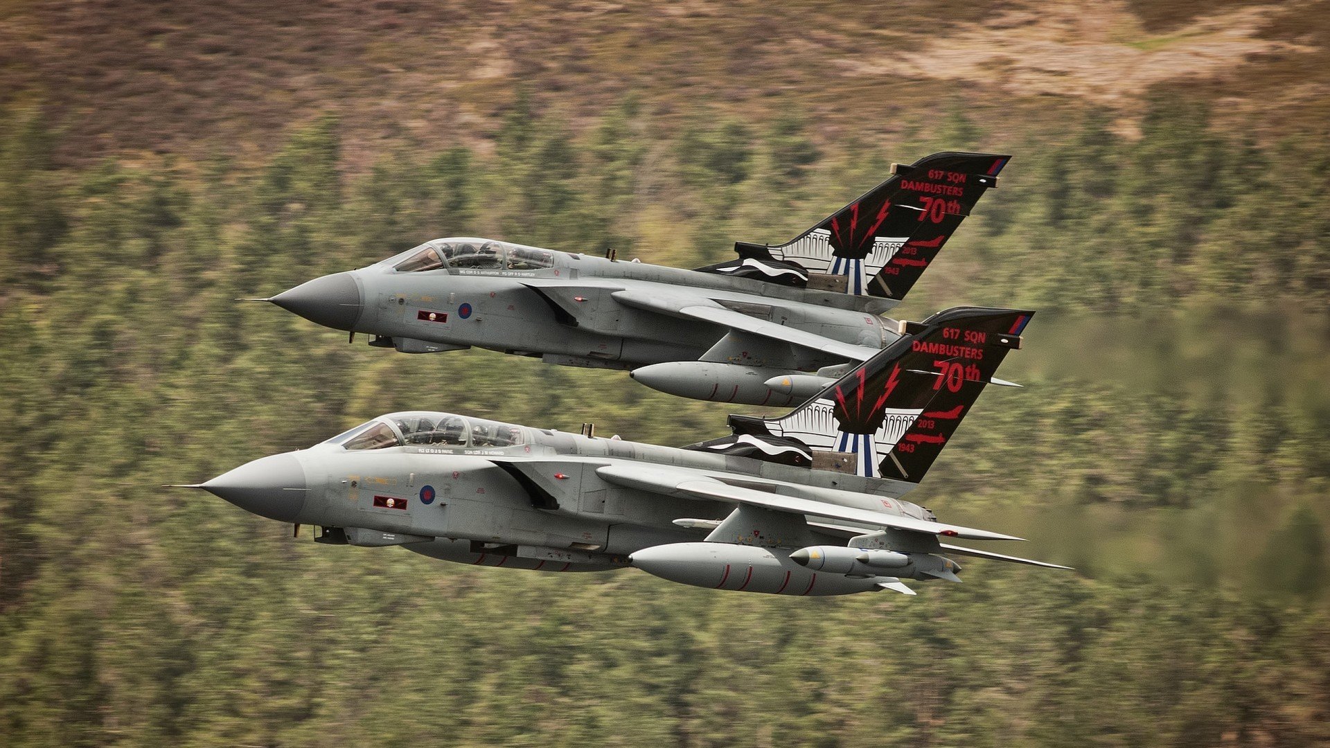 塞内加尔男篮在非洲锦标赛中夺冠,体育势头强劲,塞内加尔男篮nba球员