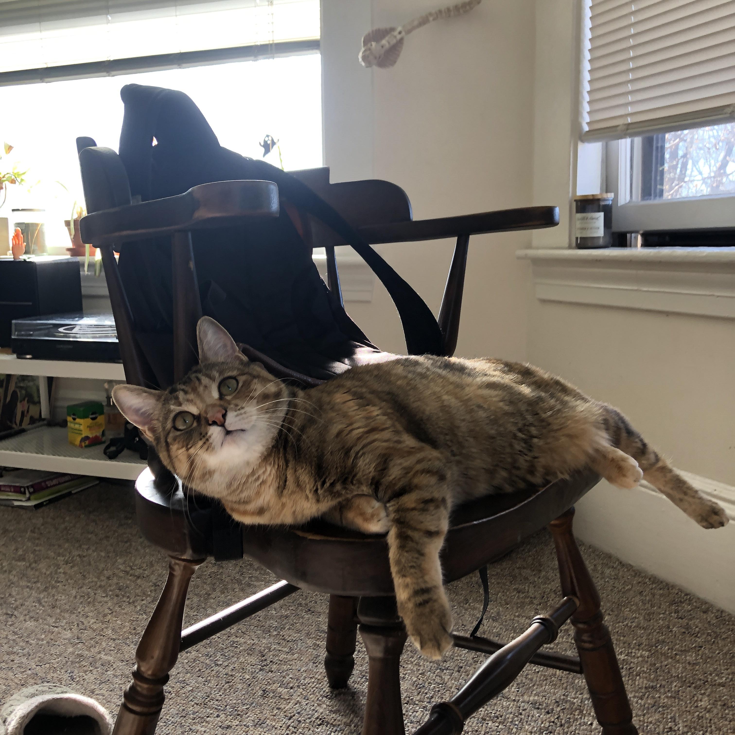 leyu乐鱼在线登录入口-太阳连胜背后防守效率大幅提高，太阳队防守效率