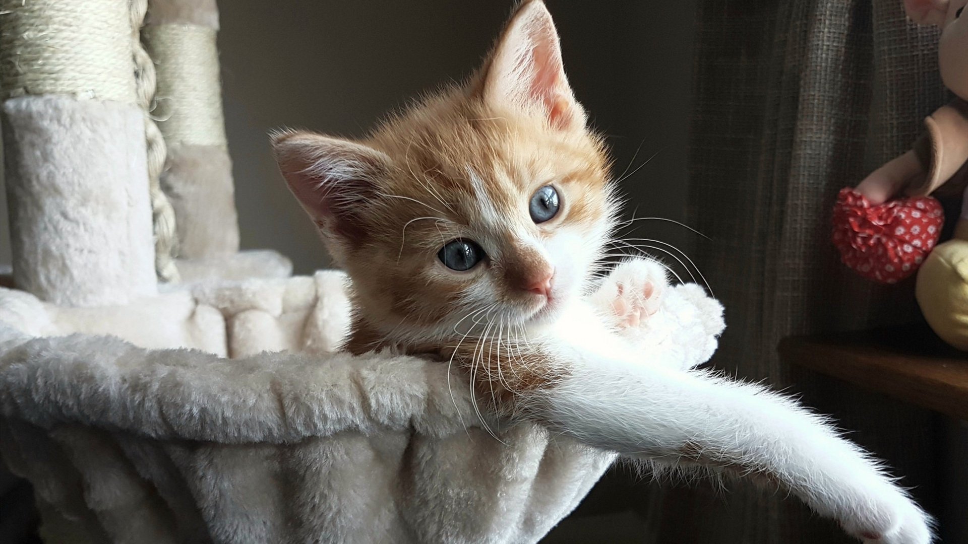 欧洲杯战术变化:布局多端,令人期待!,欧洲杯战略