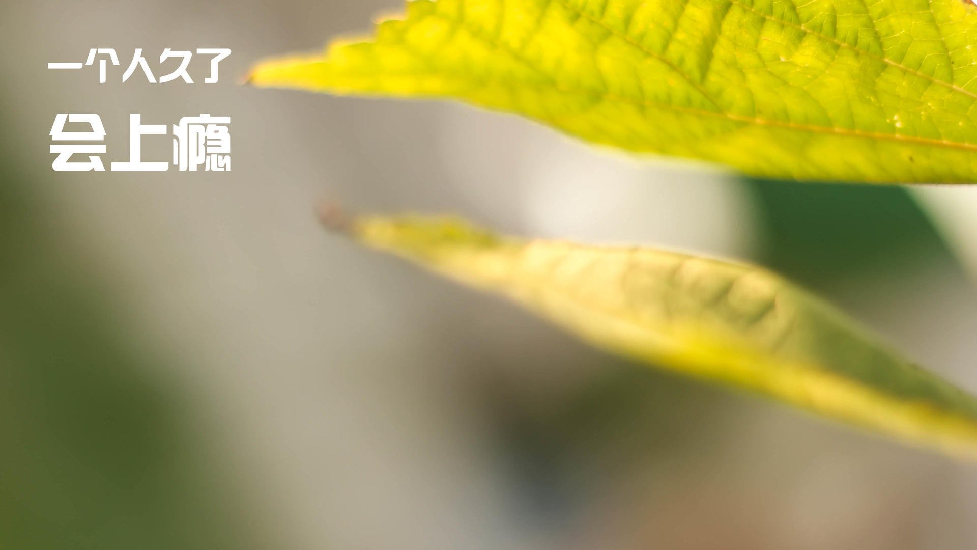 英超激烈竞争：每场都像王者之战！，英超竞争力